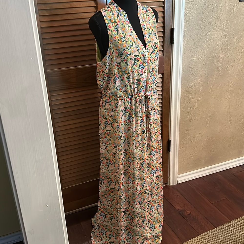 Floral Laundry by Shelli Segal maxi Dress